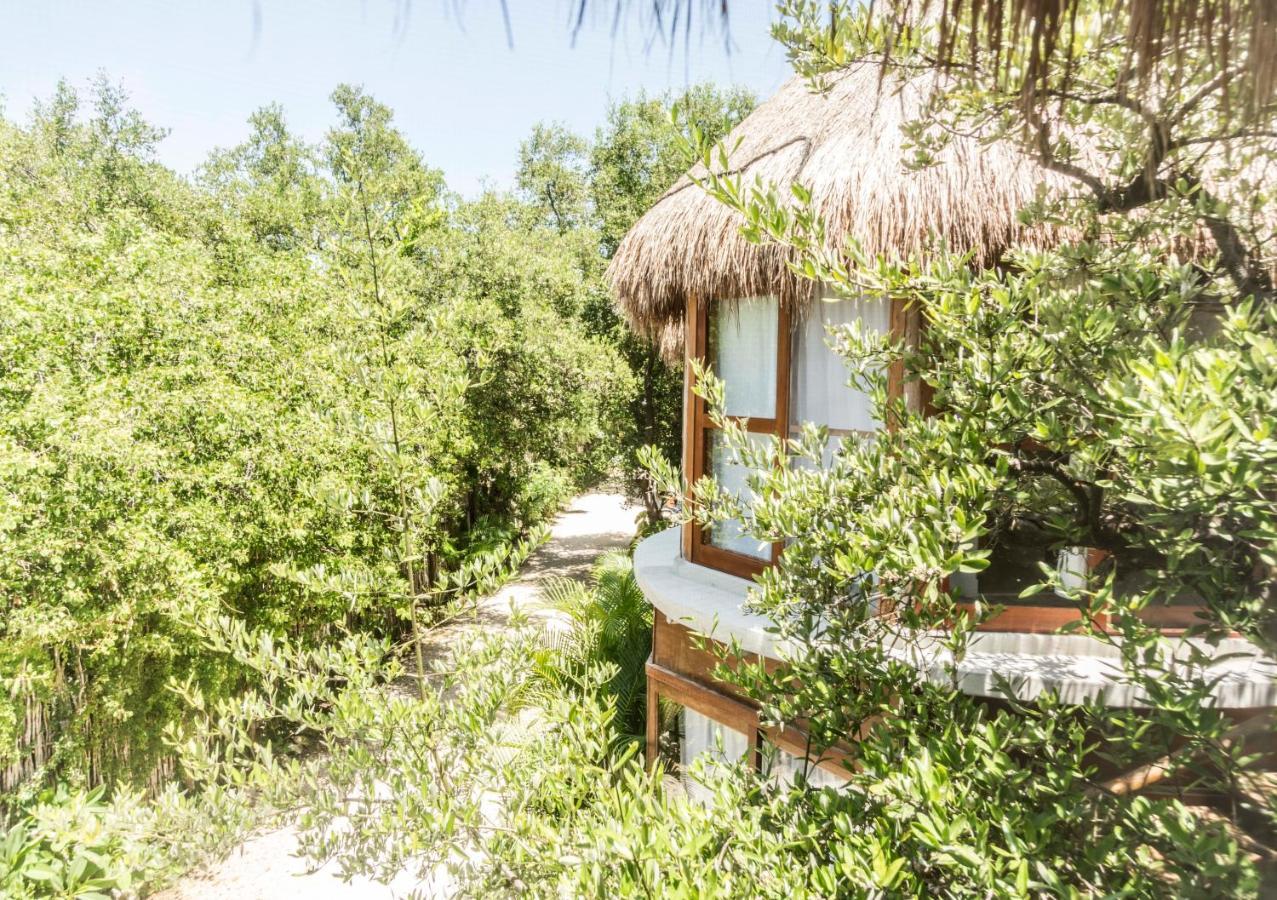 Mamasan Treehouses & Cabins تولوم المظهر الخارجي الصورة