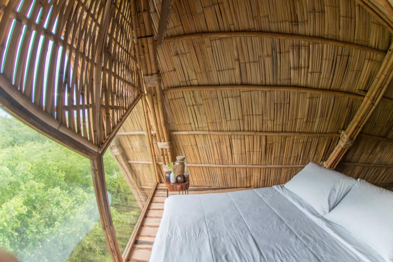 Mamasan Treehouses & Cabins تولوم المظهر الخارجي الصورة