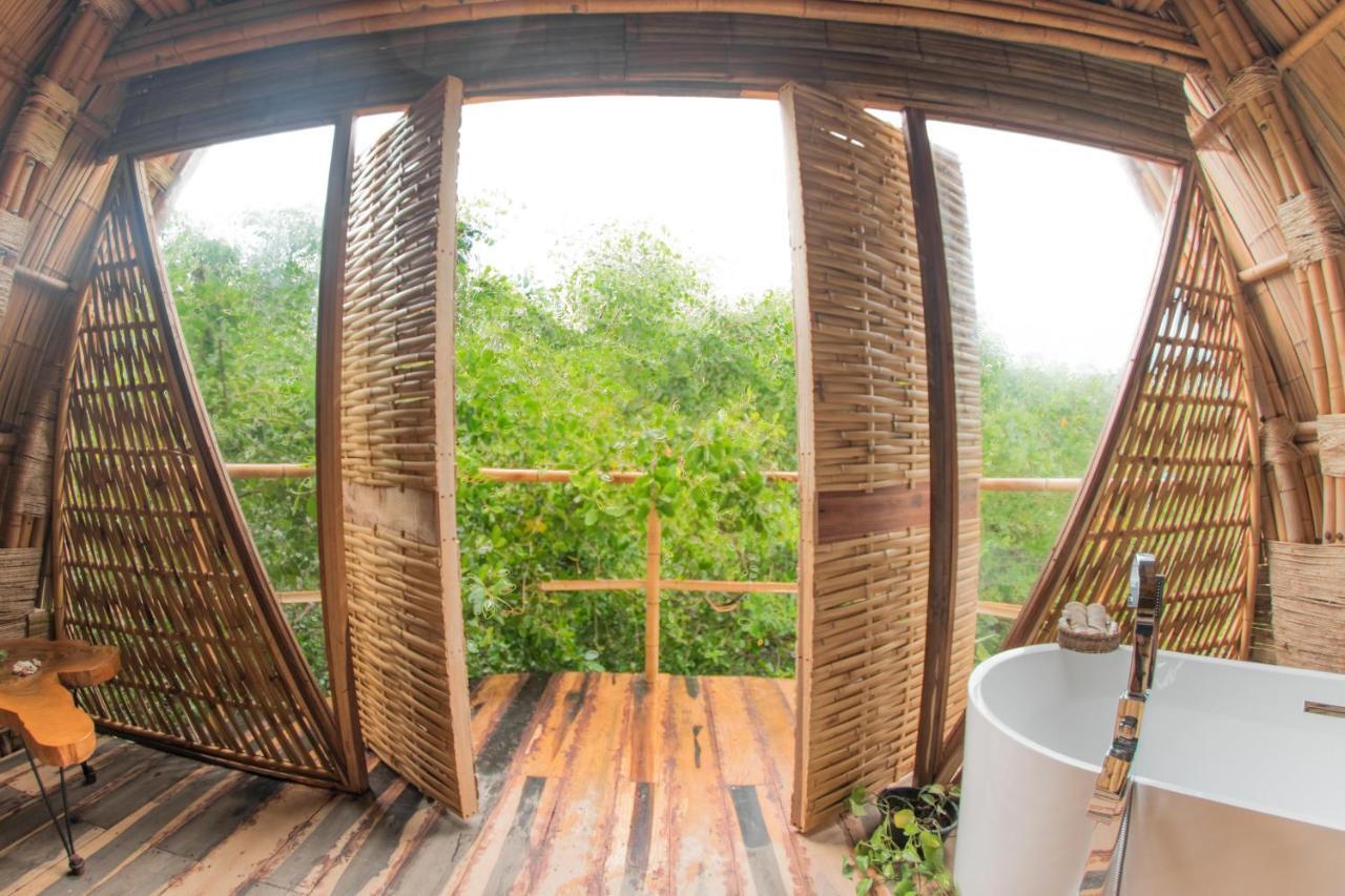 Mamasan Treehouses & Cabins تولوم المظهر الخارجي الصورة