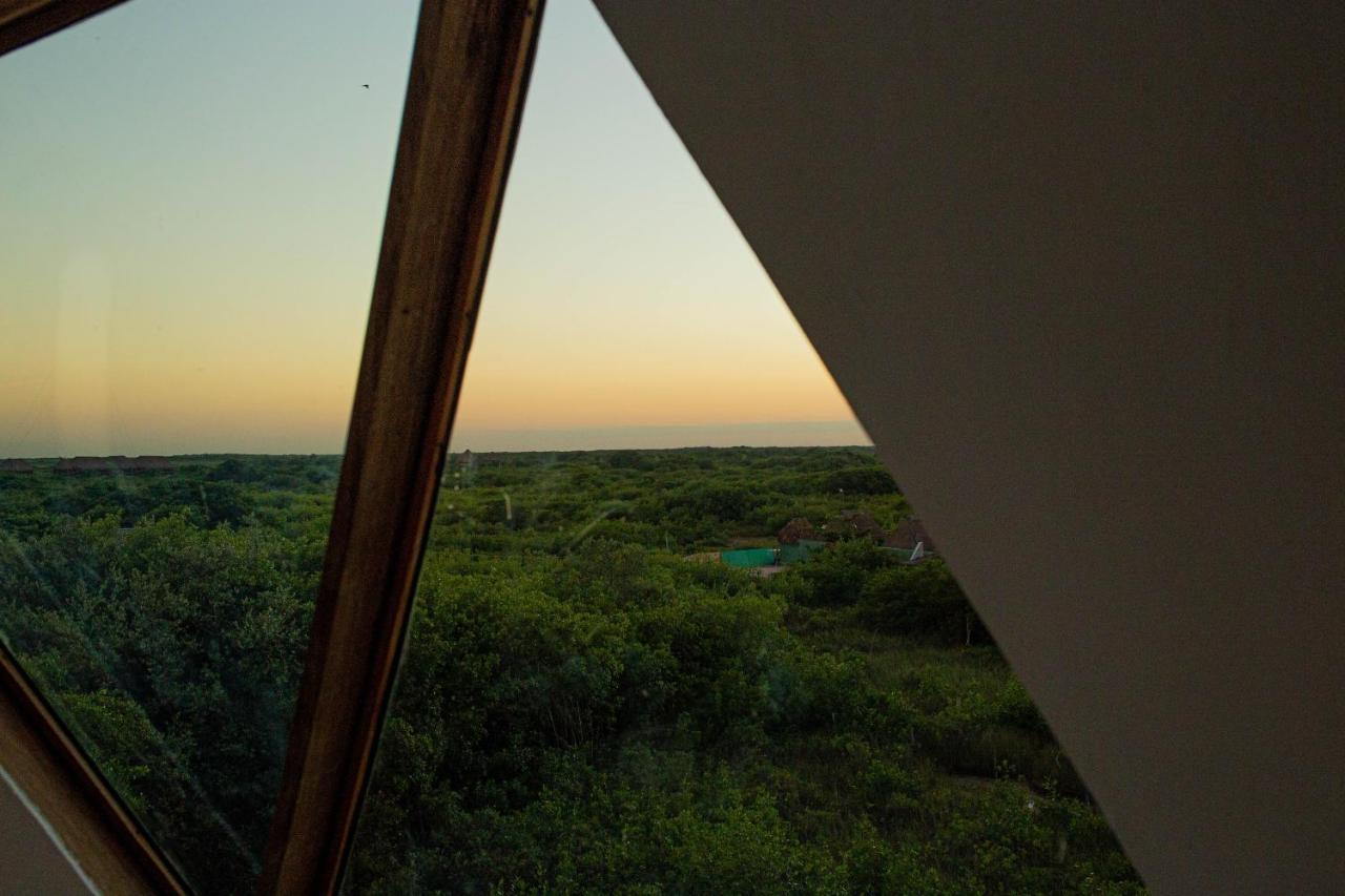 Mamasan Treehouses & Cabins تولوم المظهر الخارجي الصورة